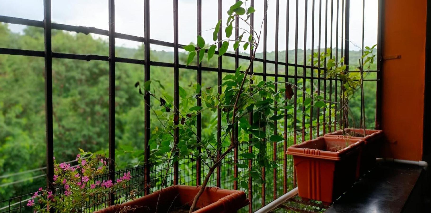 Abhayanand Agro Tourism Villa Ellora Dış mekan fotoğraf